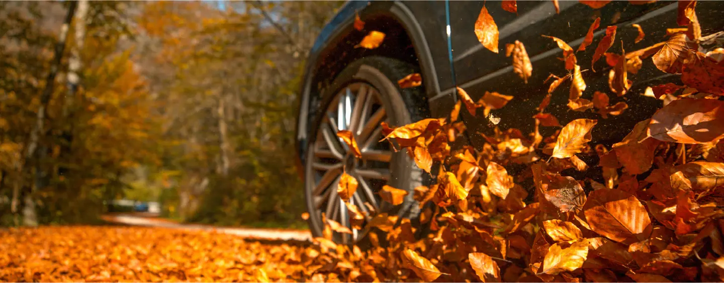 Fall Tire Sale
